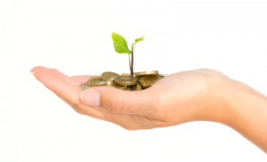 Woman's hand holding plant growing out of coins