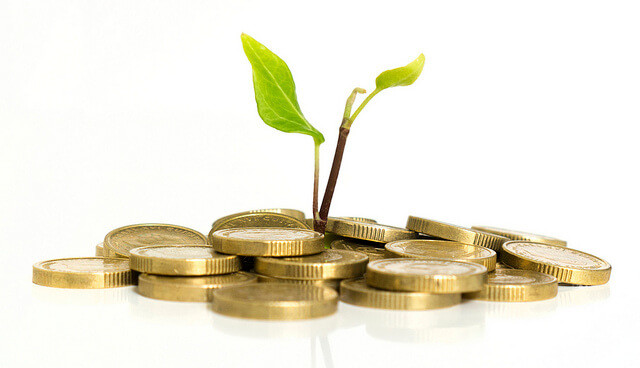 Plant Growing from Coins