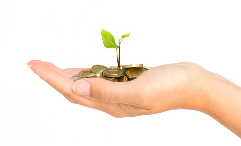 Woman's hand holding plant growing out of coins